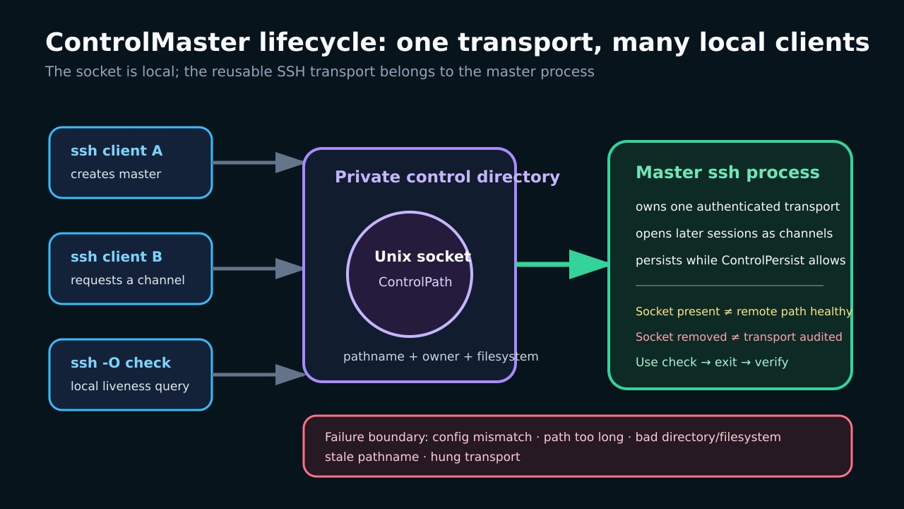 原創生命週期圖:用戶端、本地 Unix 控制通訊端、SSH 主程序與遠端傳輸。