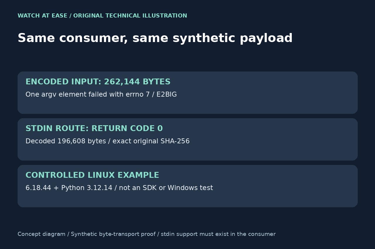 Original editorial illustration: one synthetic payload failed in argv and decoded intact through stdin.