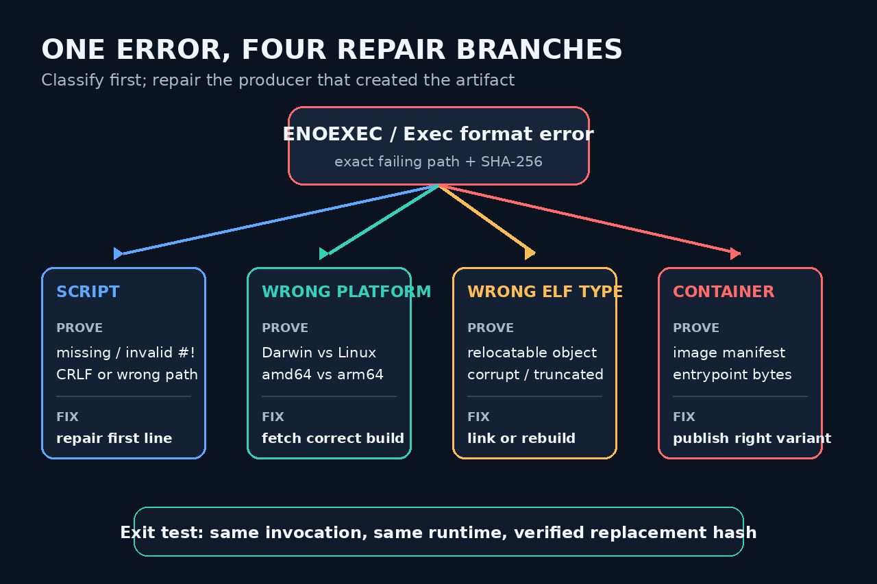 Original decision diagram separating script, platform, ELF type and container handoff branches.