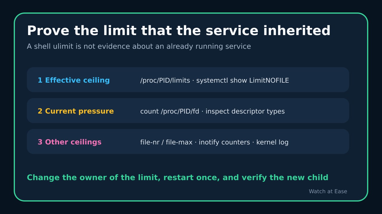 Lista editorial original para probar el límite de FD de un servicio Linux