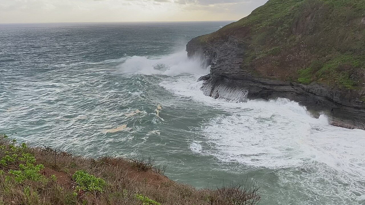 资料照片显示考艾岛 Kīlauea Point 岩石海岸遭遇大浪拍击。
