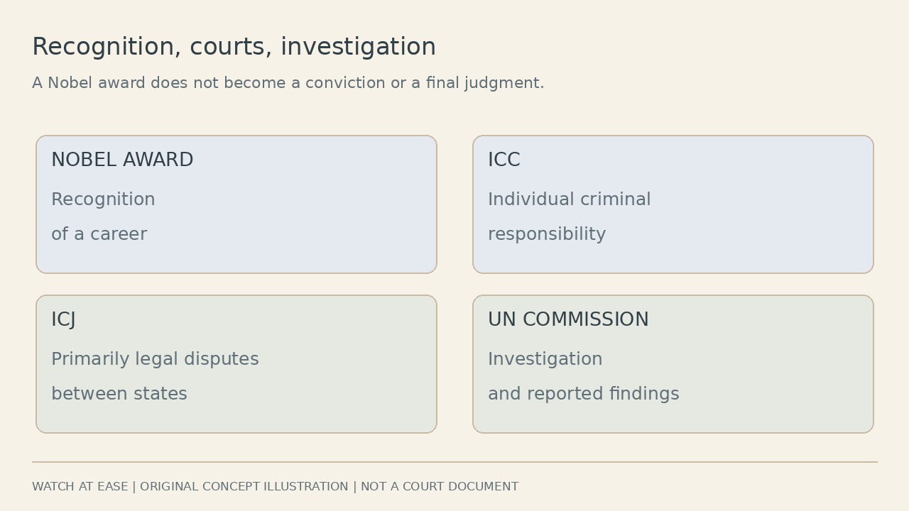 诺贝尔表彰、个人刑事责任、国家争端与联合国调查四张独立卡片