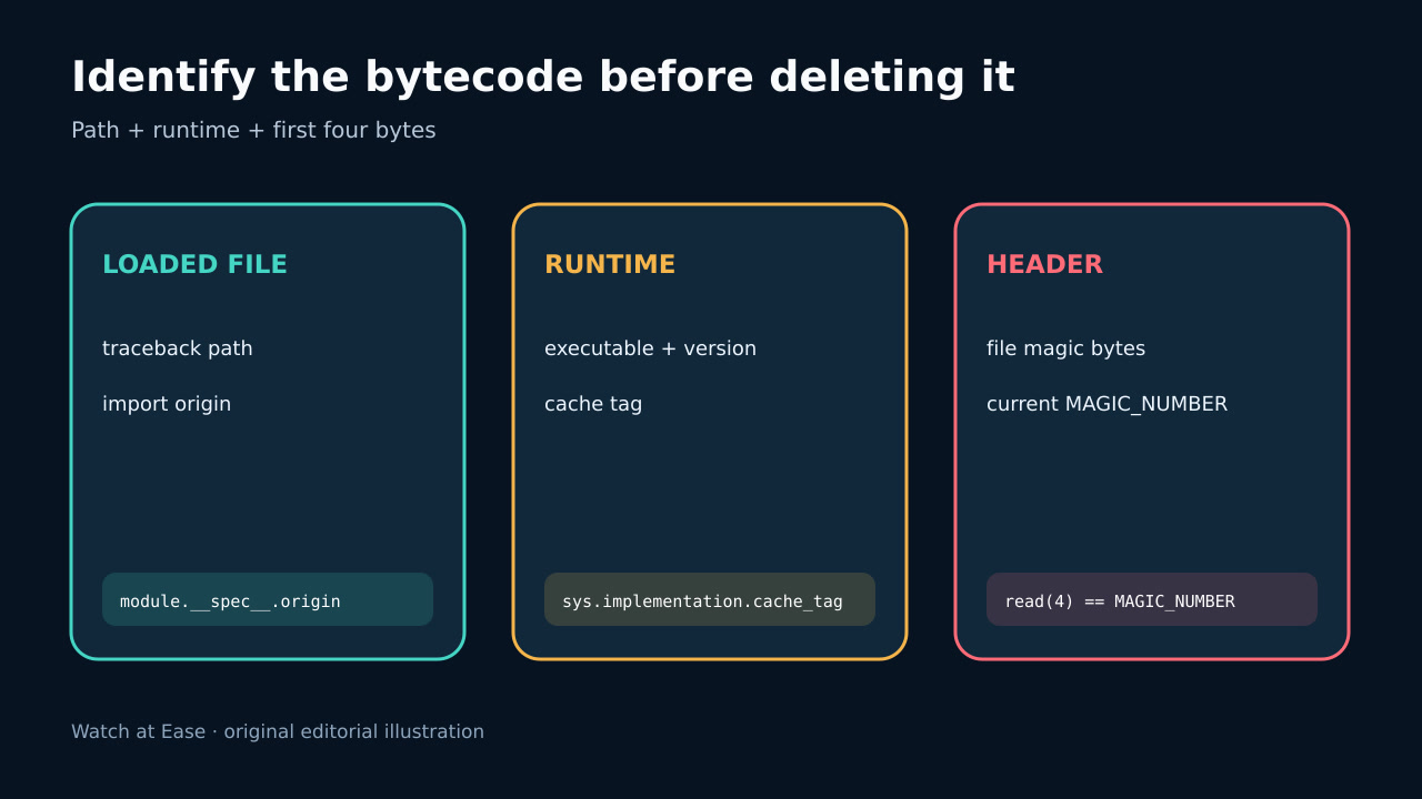 定位 pyc、运行时与 magic bytes 的示意图