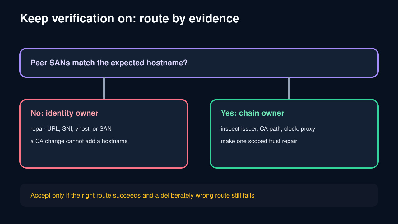 Original decision diagram separating hostname ownership from certificate-chain ownership while verification remains enabled.