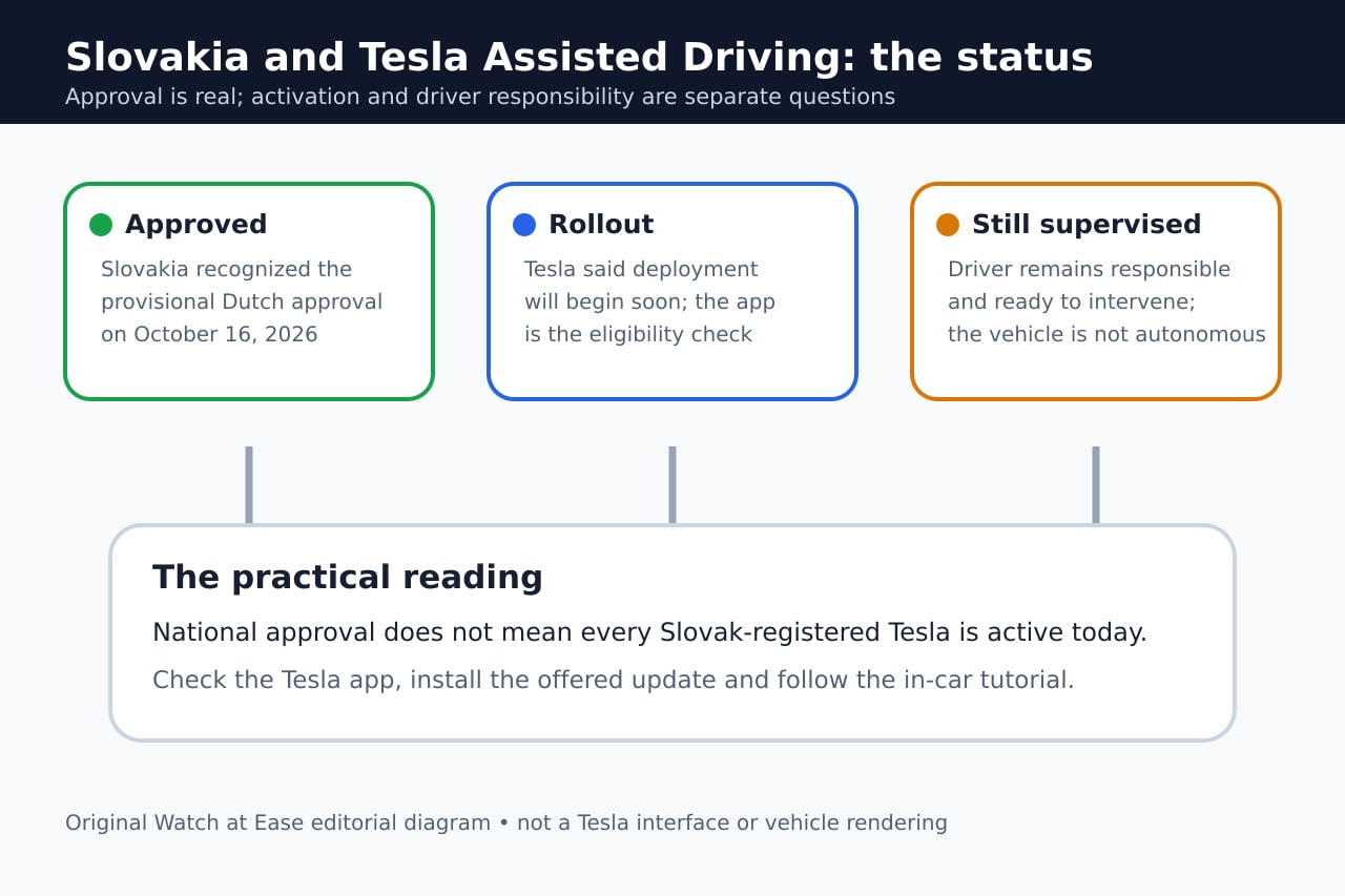スロバキアでのTesla Assisted Drivingを示すオリジナルイラスト。