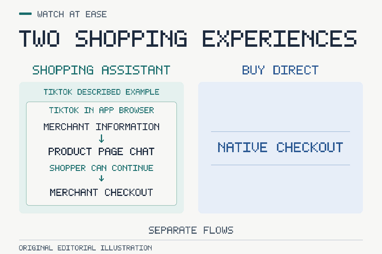 Conceptual diagrams distinguish shopping guidance from a separate checkout experience.