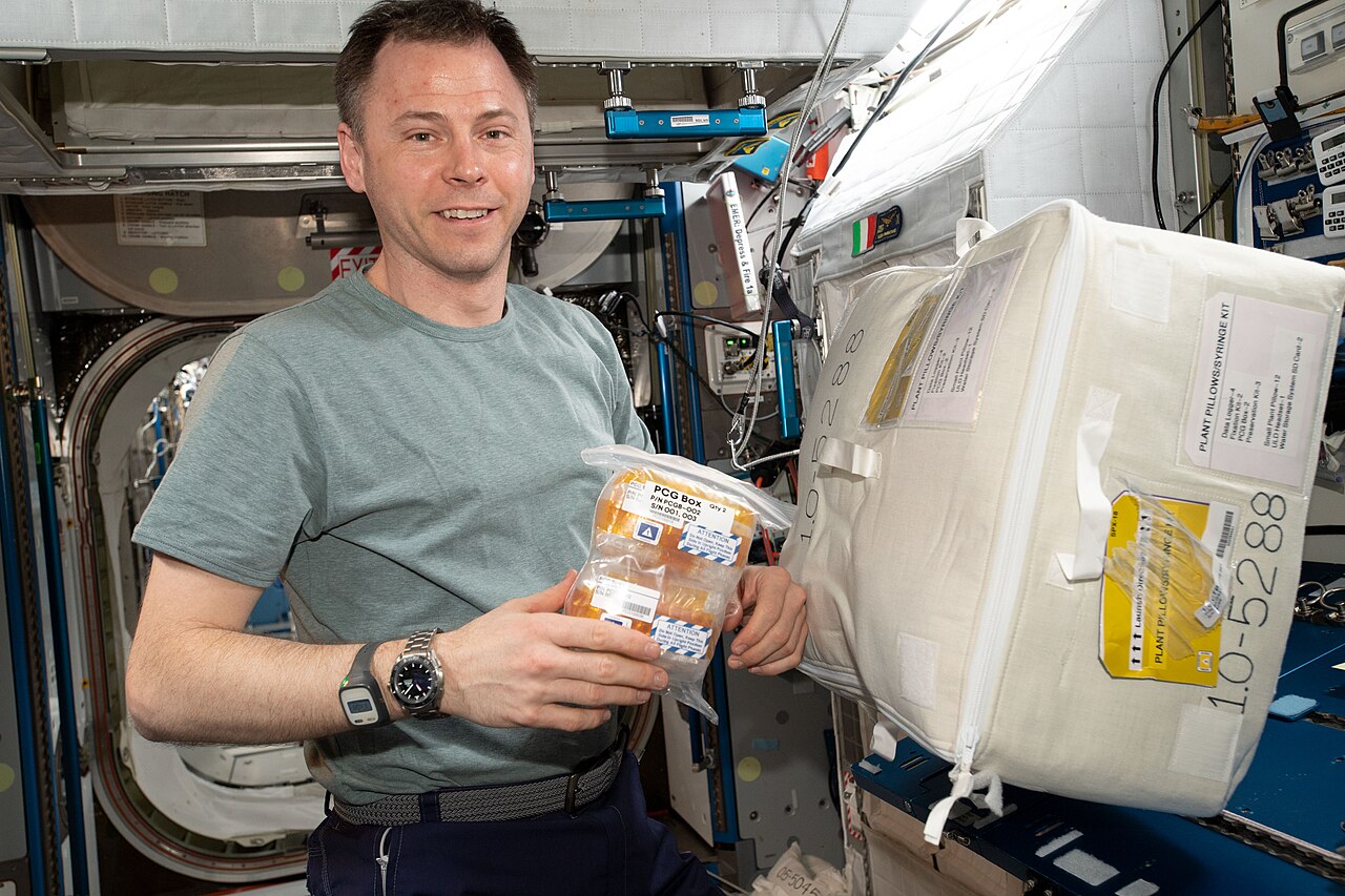 NASA资料照片：宇航员Nick Hague在国际空间站内手持蛋白质晶体生长研究样品。