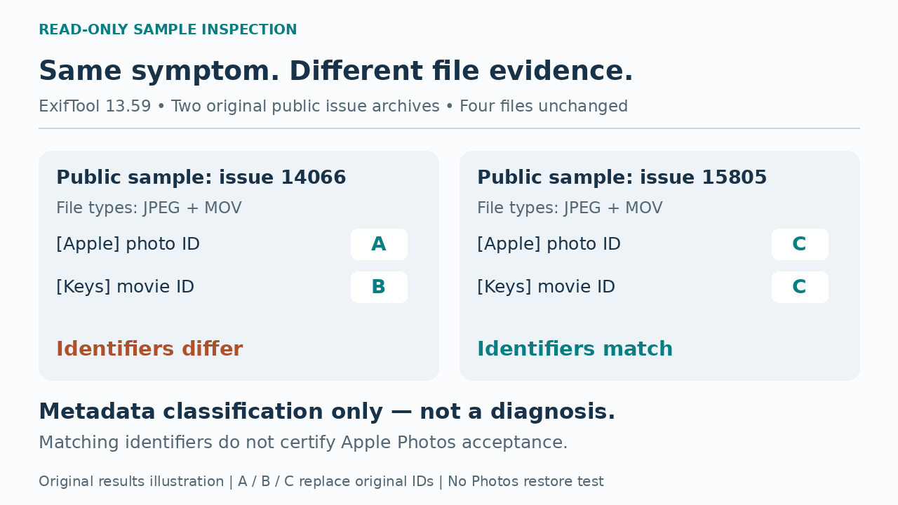 Original evidence illustration showing mismatched identifiers in issue14066’s pair and matching identifiers in issue15805’s pair, without personal images or identifiers.