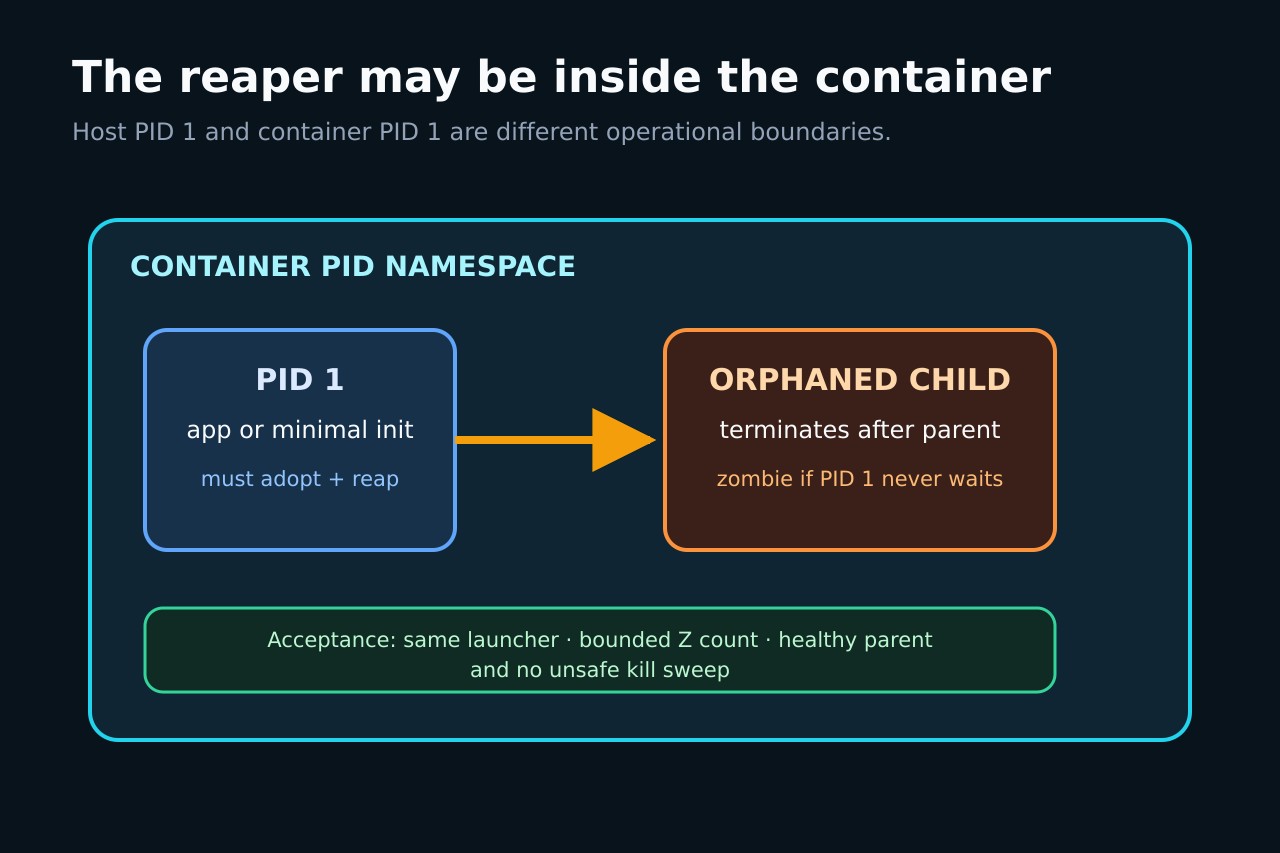 原创图示：容器 PID 1 接管并回收孤儿子进程。